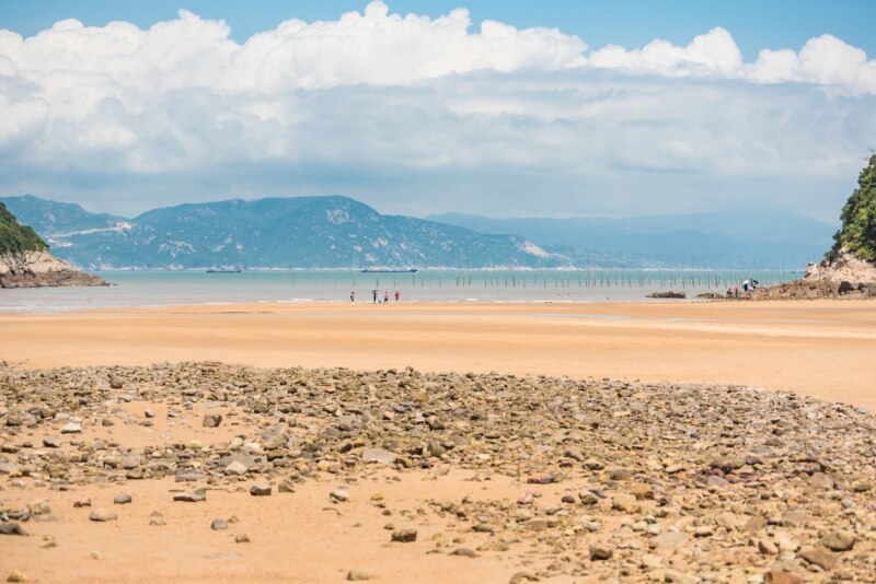 为你推荐香港适合带宠物去的好去处