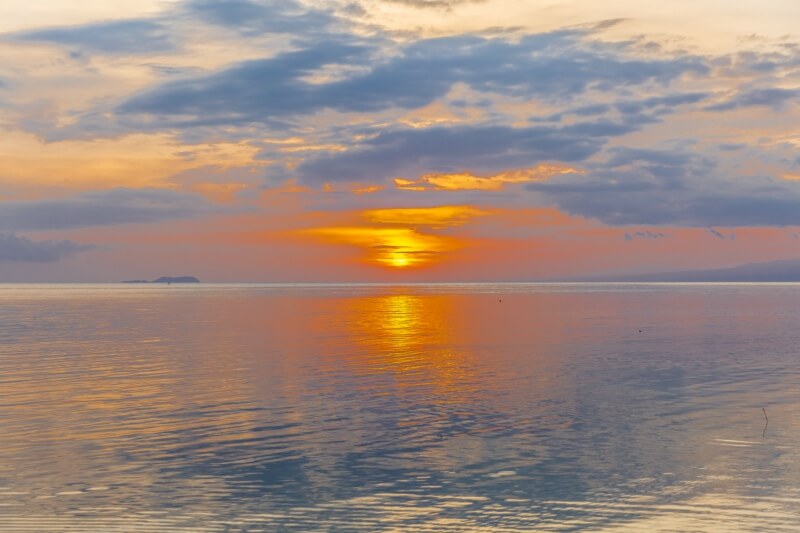 地铁、巴士、渡轮换乘及支付方式详解