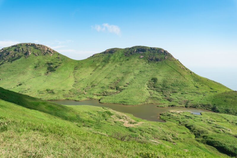 菜市场里的港味美食盛宴