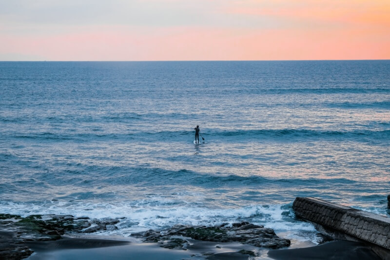跟随四季脚步，解锁香港别样体验
