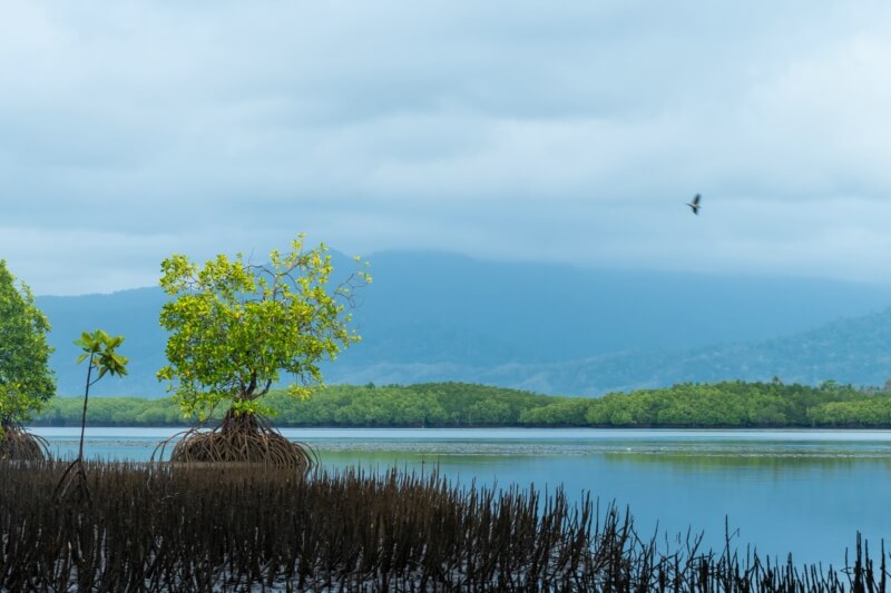 为孩子适应新学习环境出谋划策 为孩子适应新学习环境出谋划策